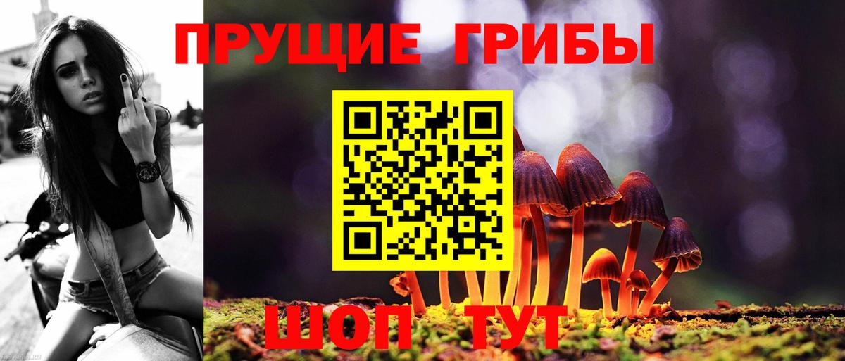 Якутск  Псилоцибиновые грибы мухоморы  Вход с VPN 