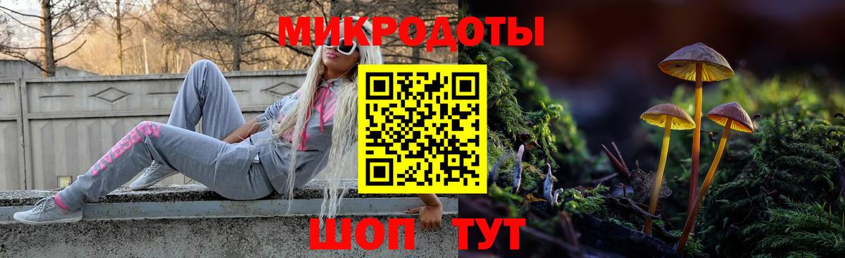 Галлюциногенные грибы Psilocybine cubensis Якутск